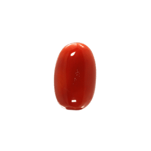 Natural Coral Stone